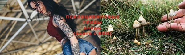 MDMA Premium VHQ Нея