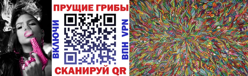 Галлюциногенные грибы прущие грибы  ОМГ ОМГ ссылка  Мосальск  продажа наркотиков 